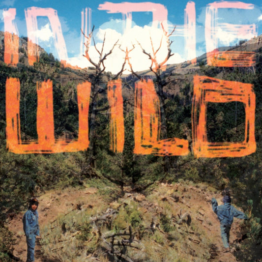 FaltyDL - In The Wild [New Vinyl] - Tonality Records