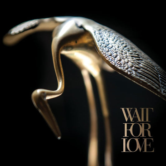 Pianos Become The Teeth - Wait For Love [New Vinyl] - Tonality Records