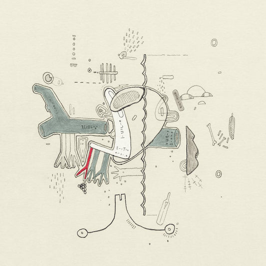 Various Artists - Tiny Changes: A Celebration Of Frightened Rabbit's The Midnight Organ Fight [New Vinyl] - Tonality Records