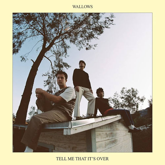 Wallows - Tell Me That It's Over [New Vinyl] - Tonality Records