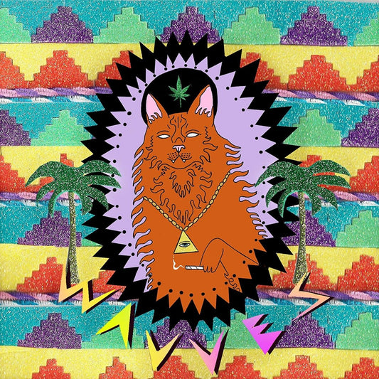 Wavves - King Of The Beach [New Vinyl] - Tonality Records