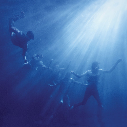 Foals - Total Life Forever [Used Vinyl]