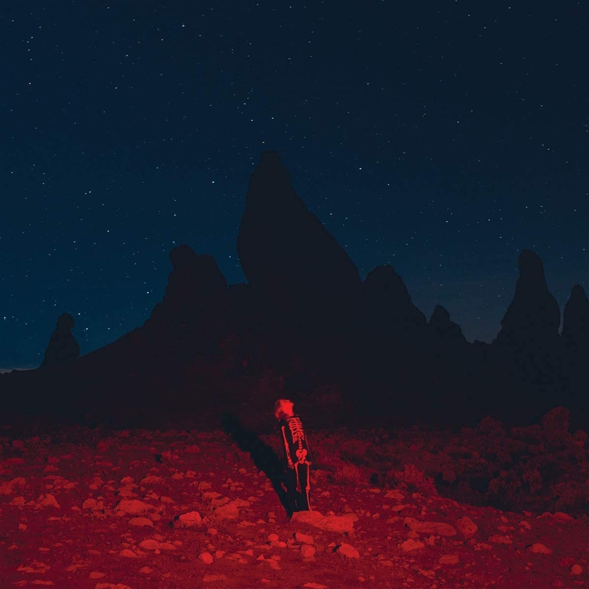Phoebe Bridgers - Punisher [Used Vinyl]