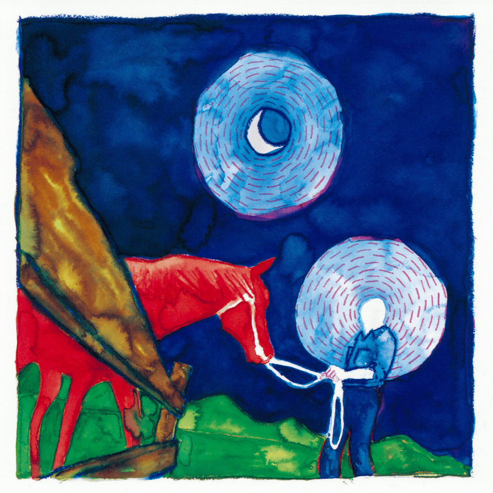Calexico | Iron and Wine - In the Reins [Used Vinyl]