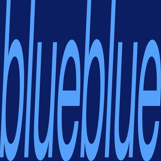 Sam Gendel - blueblue [Used Vinyl]