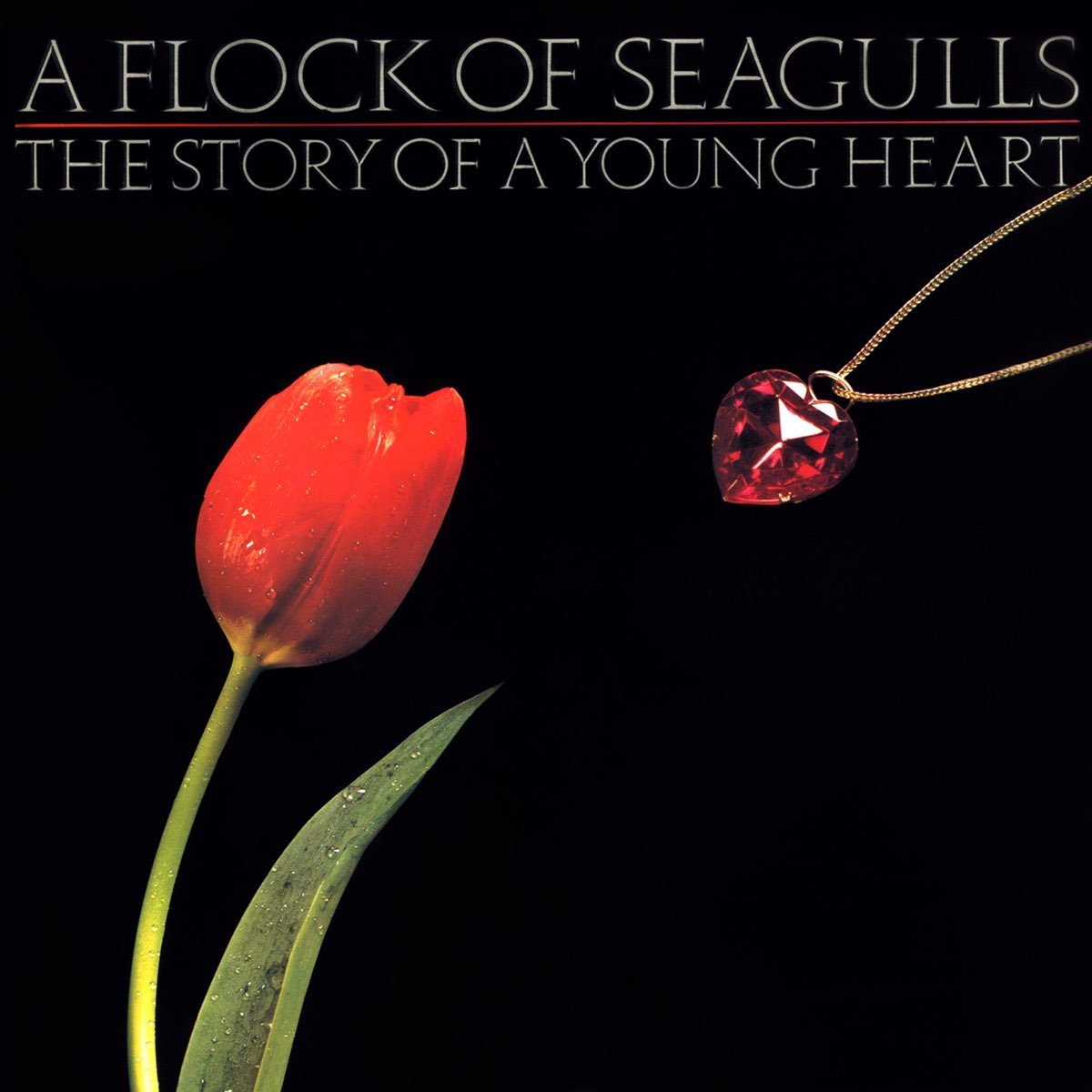 A Flock of Seagulls - The Story of a Young Heart [Used Vinyl] - Tonality Records
