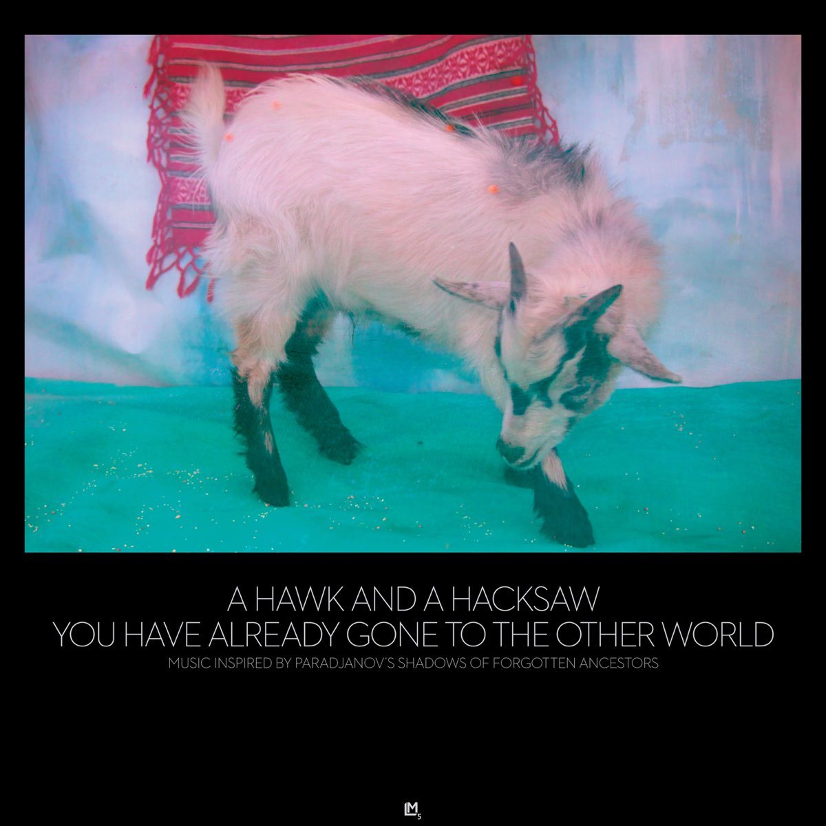 A Hawk And A Hacksaw - You Have Already Gone To The Other World [Used Vinyl] - Tonality Records