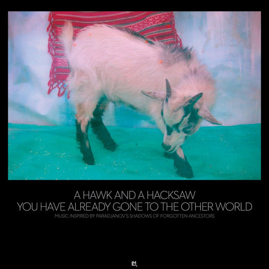 A Hawk And A Hacksaw - You Have Already Gone To The Other World [Used Vinyl] - Tonality Records