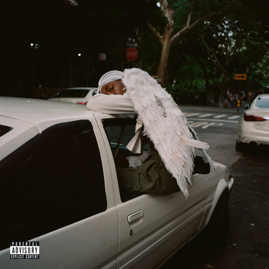 Blood Orange - Negro Swan [Used Vinyl]
