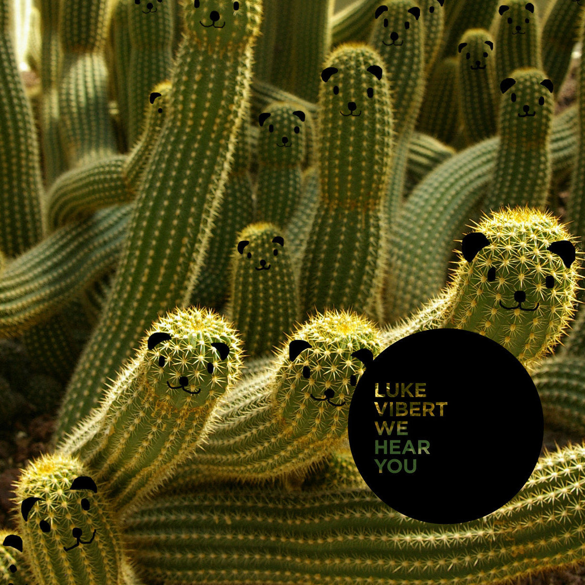 Luke Vibert - We Hear You [Used Vinyl]
