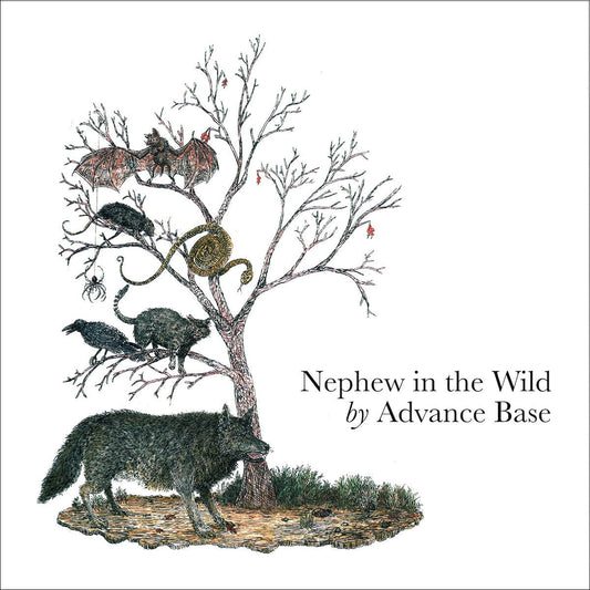 Advance Base - Nephew in the Wild [New Vinyl] - Tonality Records
