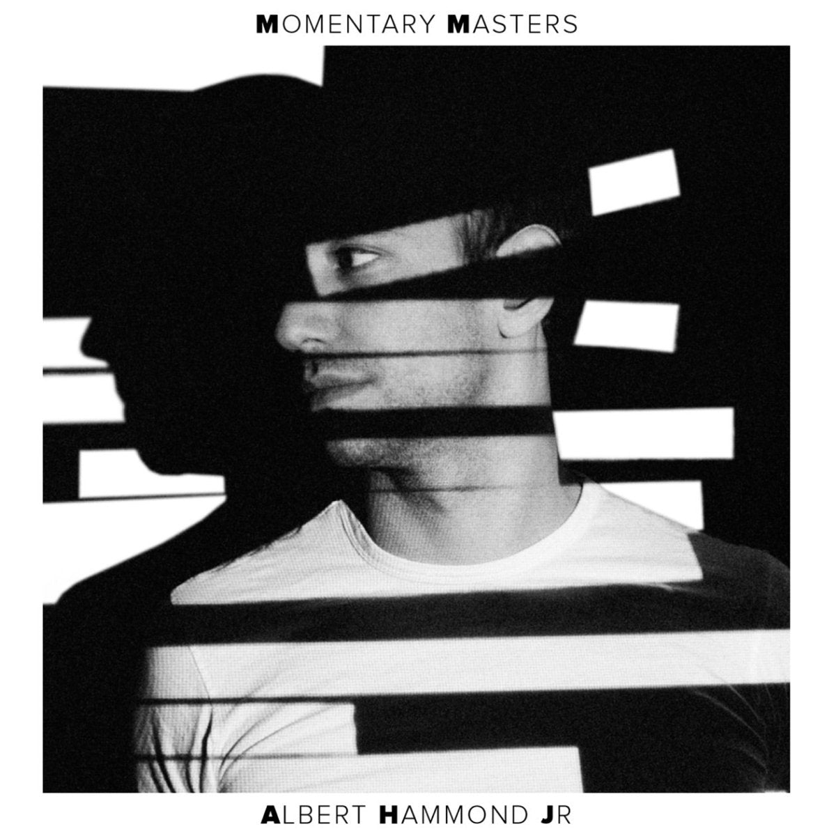 Albert Hammond Jr. - Momentary Masters [Used Vinyl] - Tonality Records