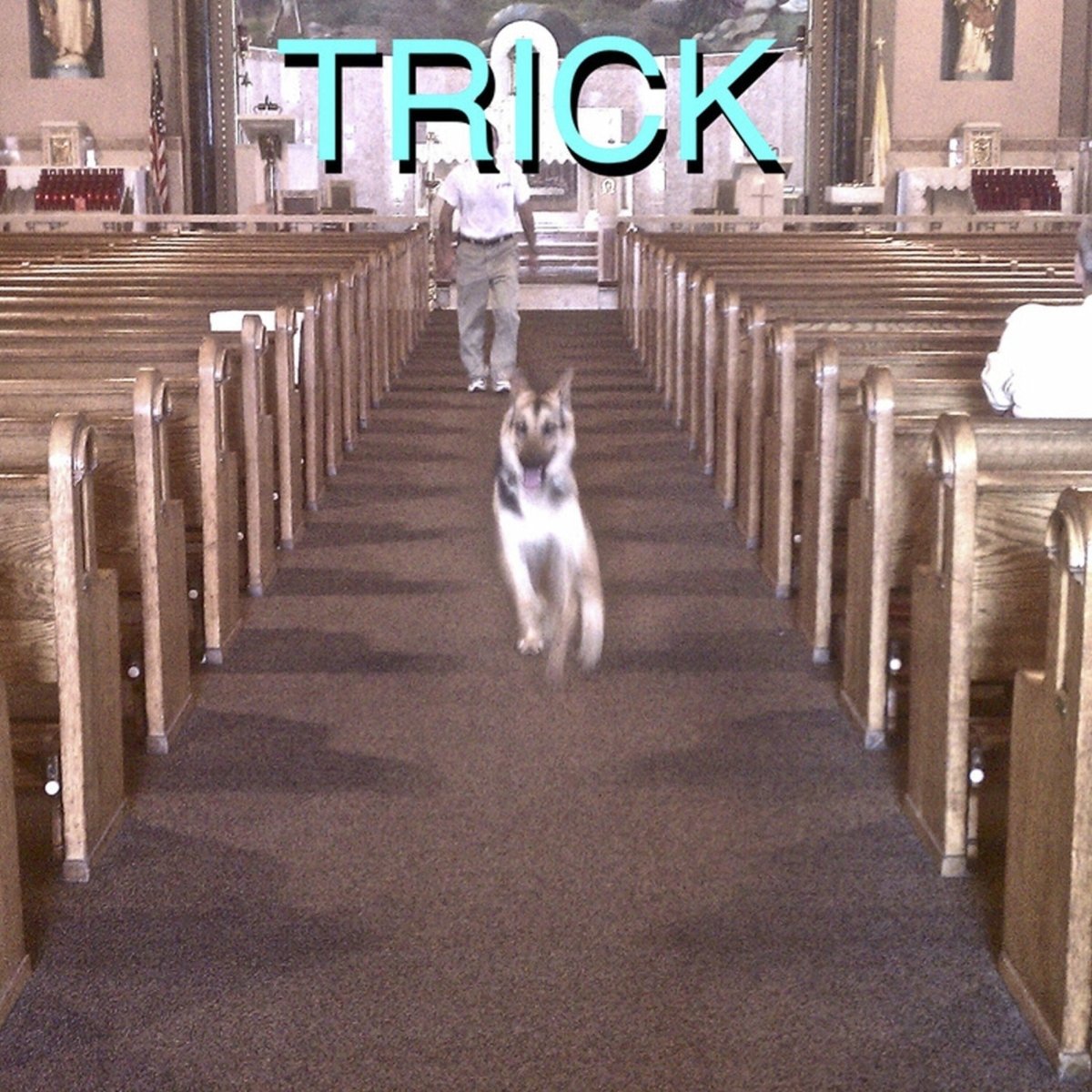 Alex G - Trick [Used Vinyl] - Tonality Records
