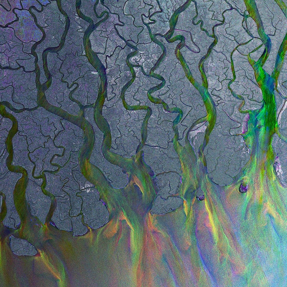 alt-J - An Awesome Wave [Used Vinyl] - Tonality Records