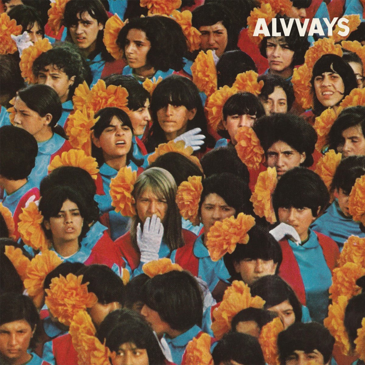 Alvvays - Alvvays [Used Vinyl] - Tonality Records