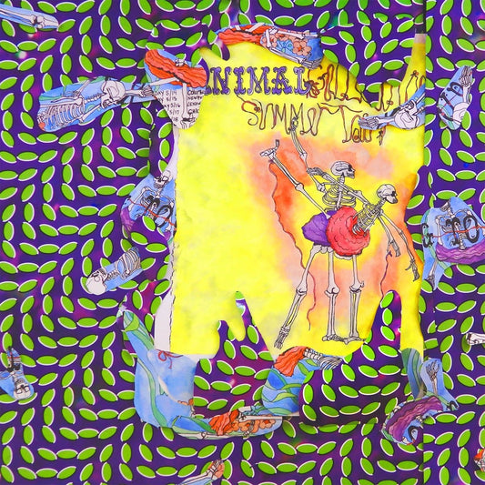 Animal Collective - Ballet Slippers [Used Vinyl] - Tonality Records