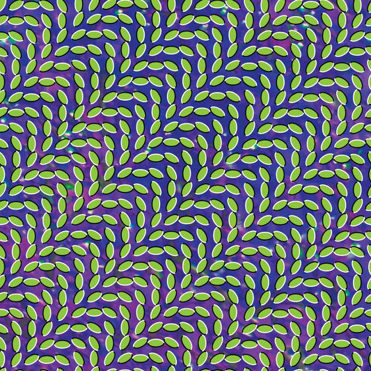 Animal Collective - Merriweather Post Pavilion [Used Vinyl] - Tonality Records