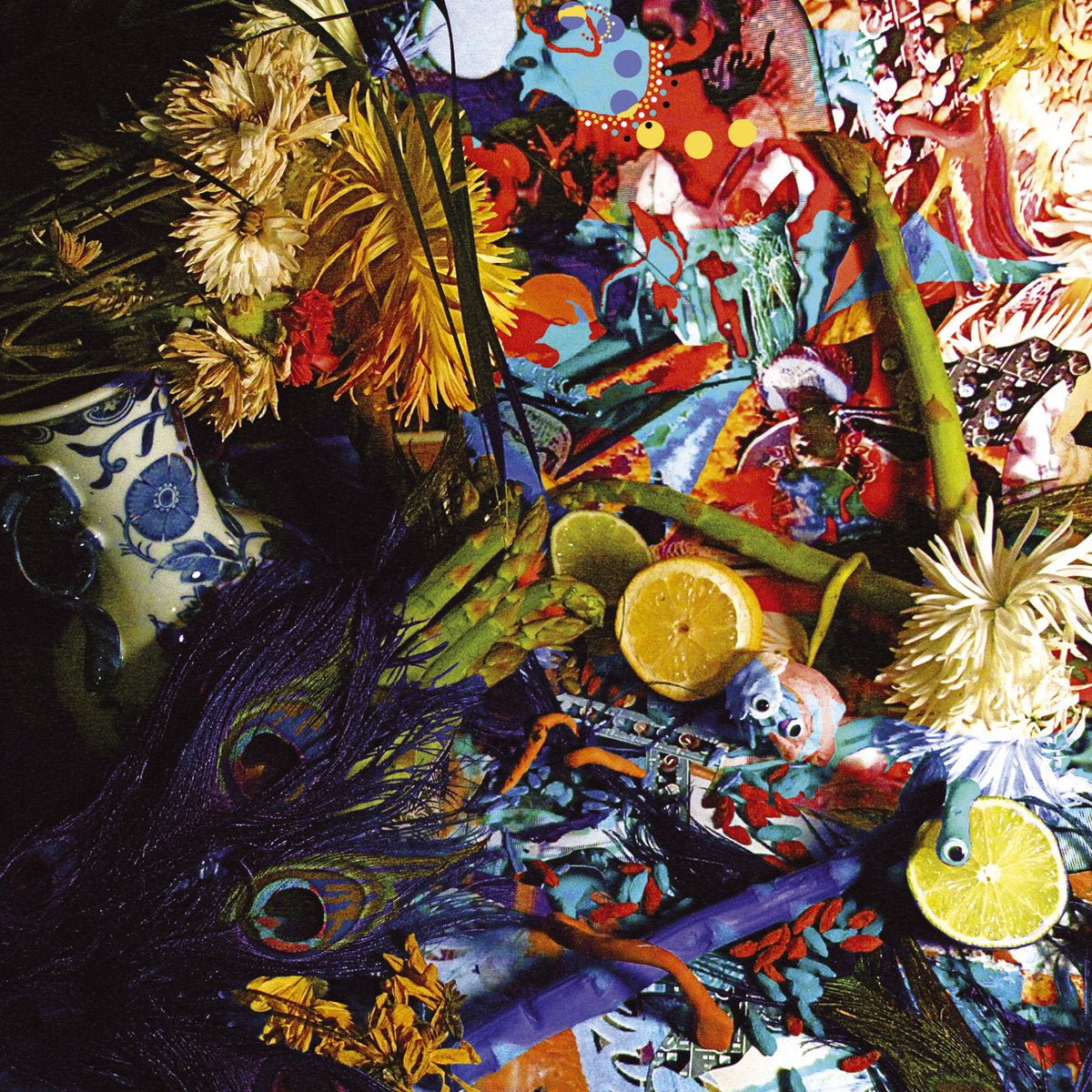 Animal Collective - Summertime Clothes [Used Vinyl] - Tonality Records