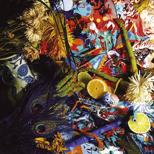 Animal Collective - Summertime Clothes [Used Vinyl] - Tonality Records