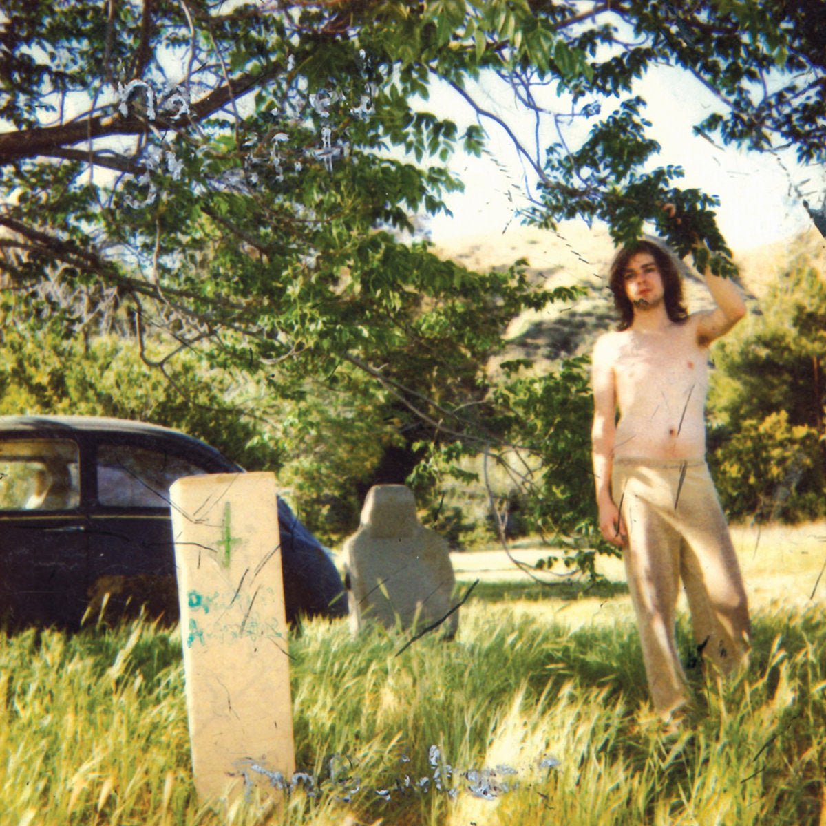 Ariel Pink's Haunted Graffiti - The Doldrums [Used Vinyl] - Tonality Records