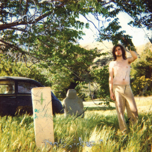 Ariel Pink's Haunted Graffiti - The Doldrums [Used Vinyl] - Tonality Records