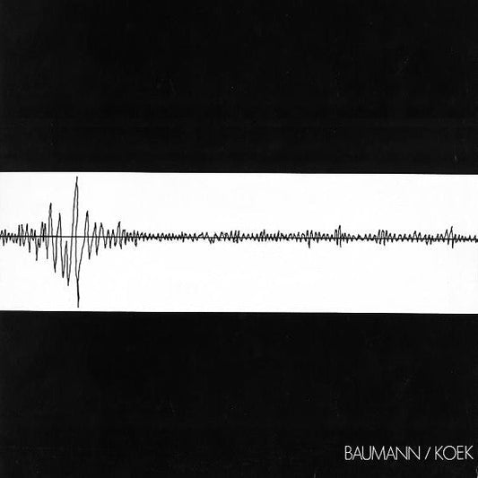 Baumann & Koek - Baumann / Koek [Used Vinyl] - Tonality Records