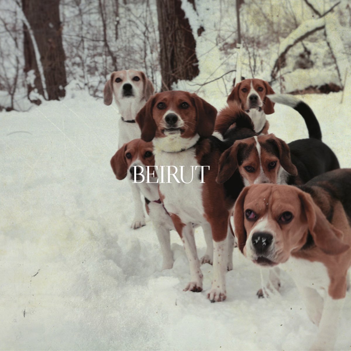 Beirut - East Harlem / Goshen [Used Vinyl] - Tonality Records