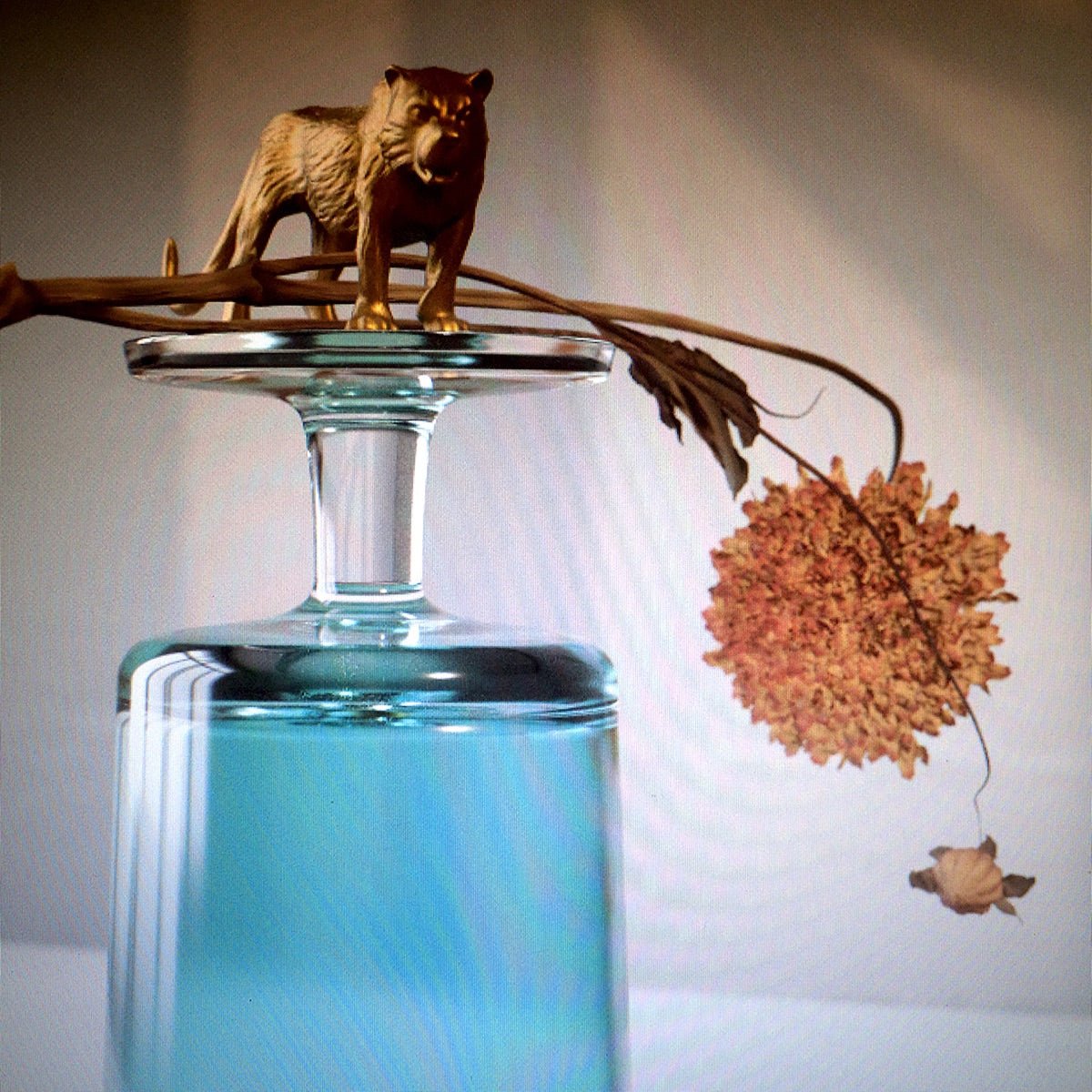 Beirut - Gallipoli [Used Vinyl] - Tonality Records