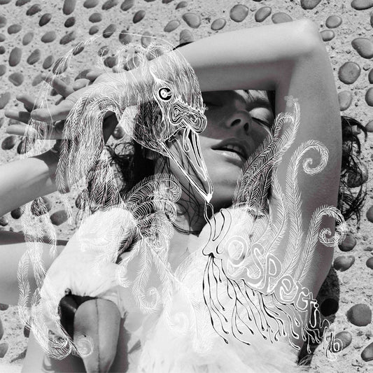 Björk - Vespertine [Used Vinyl] - Tonality Records