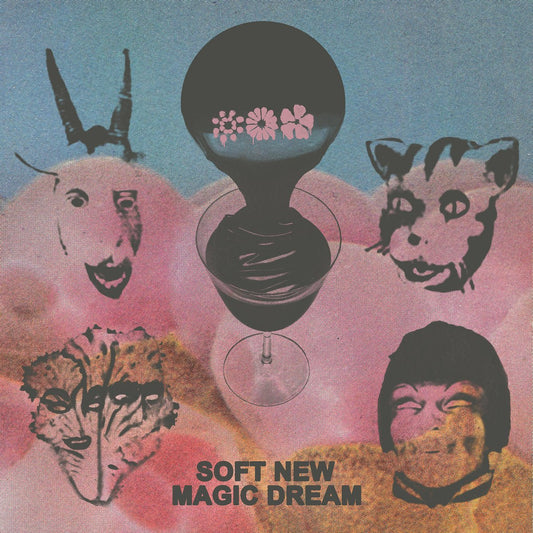 Black Moth Super Rainbow - Soft Magic New Dream [New Vinyl] - Tonality Records