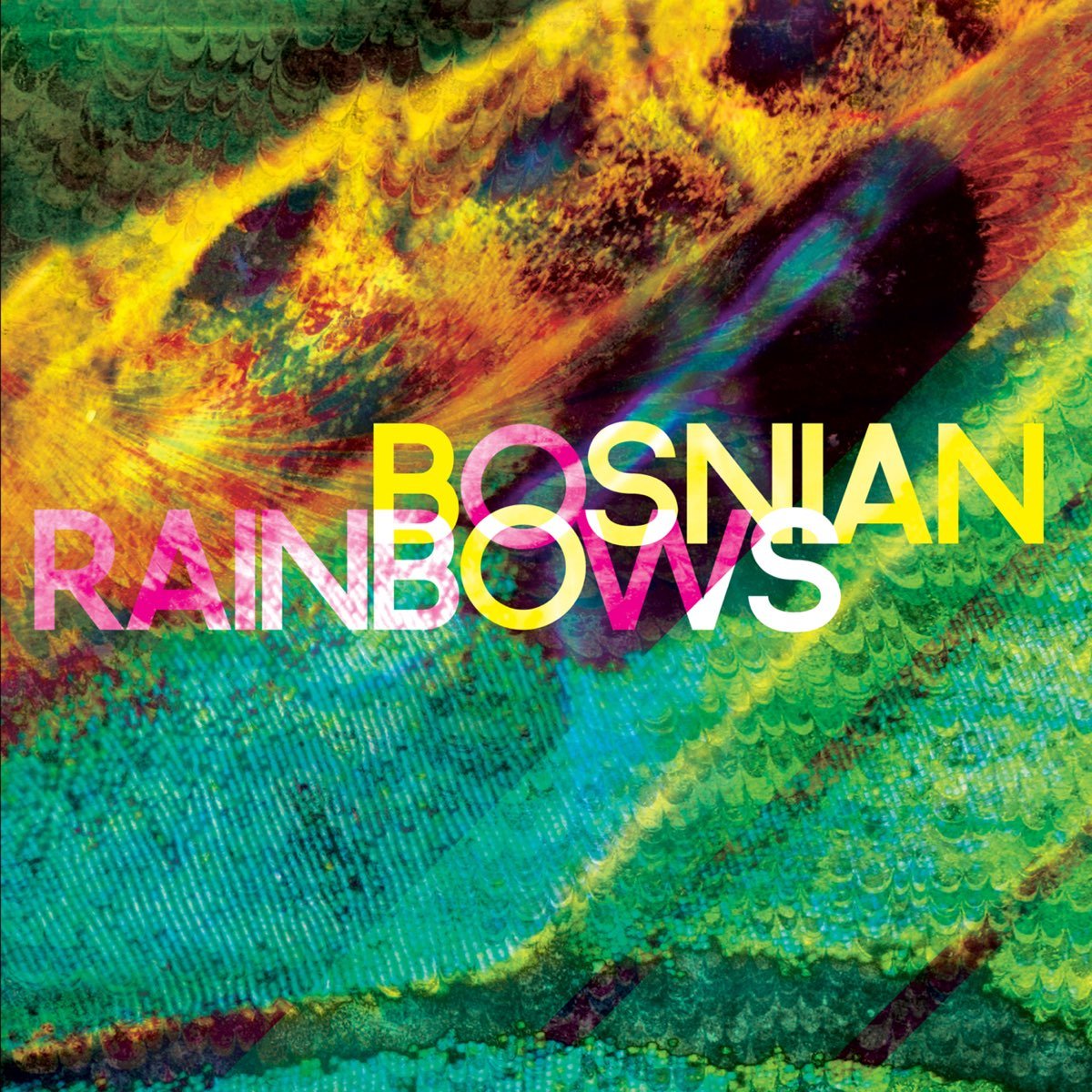 Bosnian Rainbows - Bosnian Rainbows [Used Vinyl] - Tonality Records