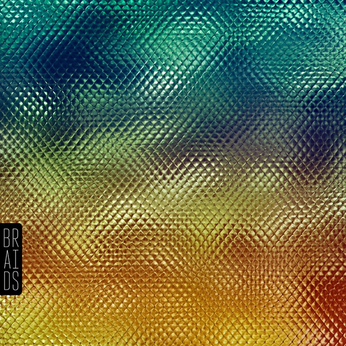Braids - Native Speaker [Used Vinyl] - Tonality Records