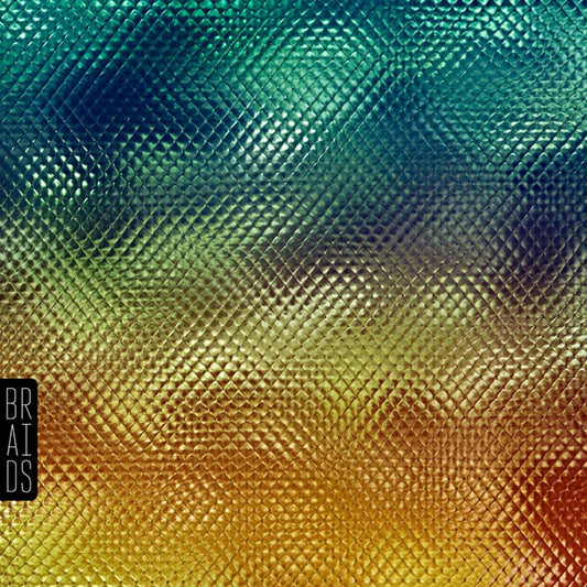 Braids - Native Speaker [Used Vinyl] - Tonality Records