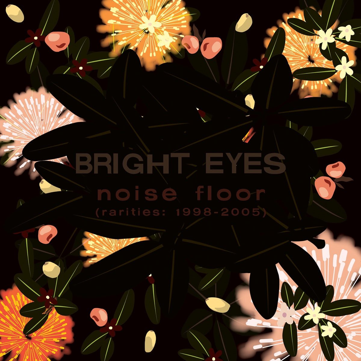 Bright Eyes - Noise Floor (Rarities: 1998 - 2005) [Used Vinyl] - Tonality Records