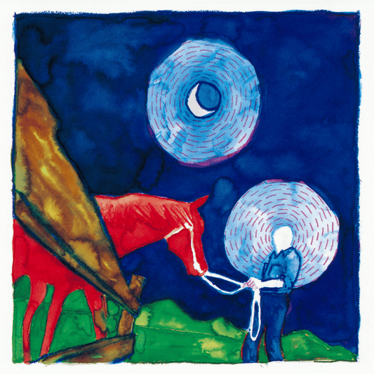 Calexico | Iron and Wine - In the Reins [Used Vinyl] - Tonality Records