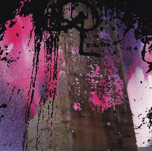 Double Leopards - A Hole Is True [Used Vinyl]