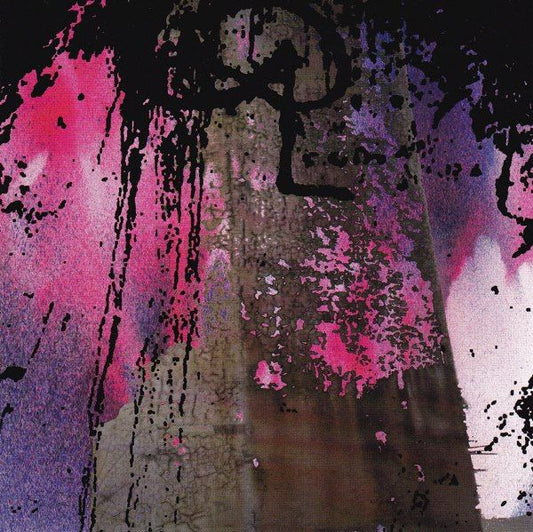 Double Leopards - A Hole Is True [Used Vinyl]