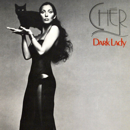 Chér - Dark Lady [Used Vinyl] - Tonality Records