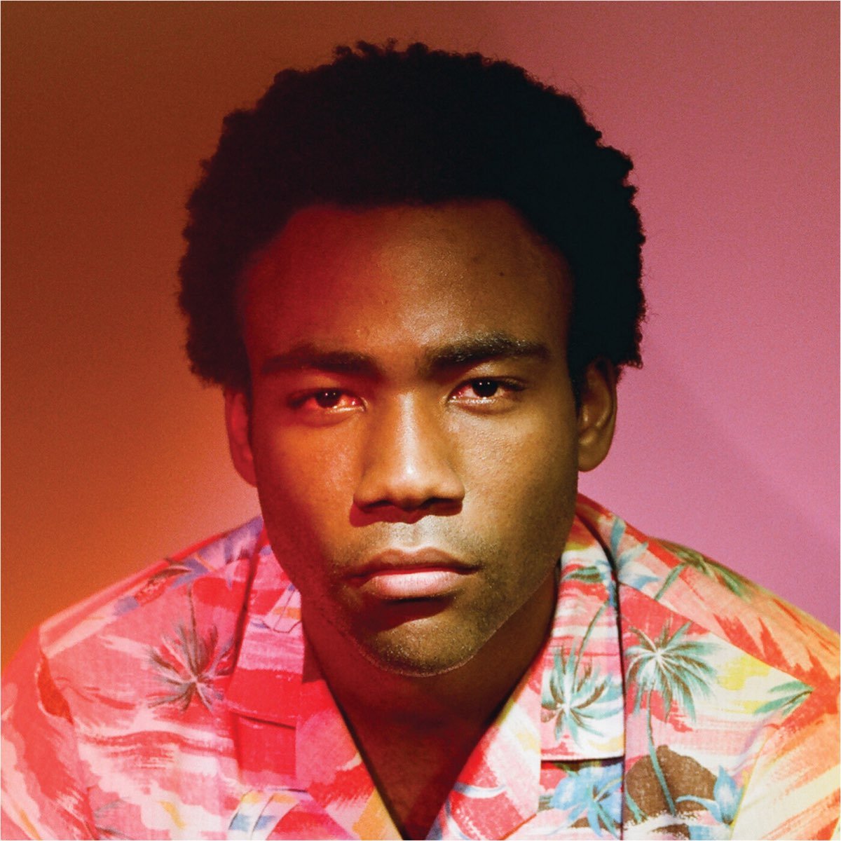 Childish Gambino - Because the Internet [Used Vinyl] - Tonality Records