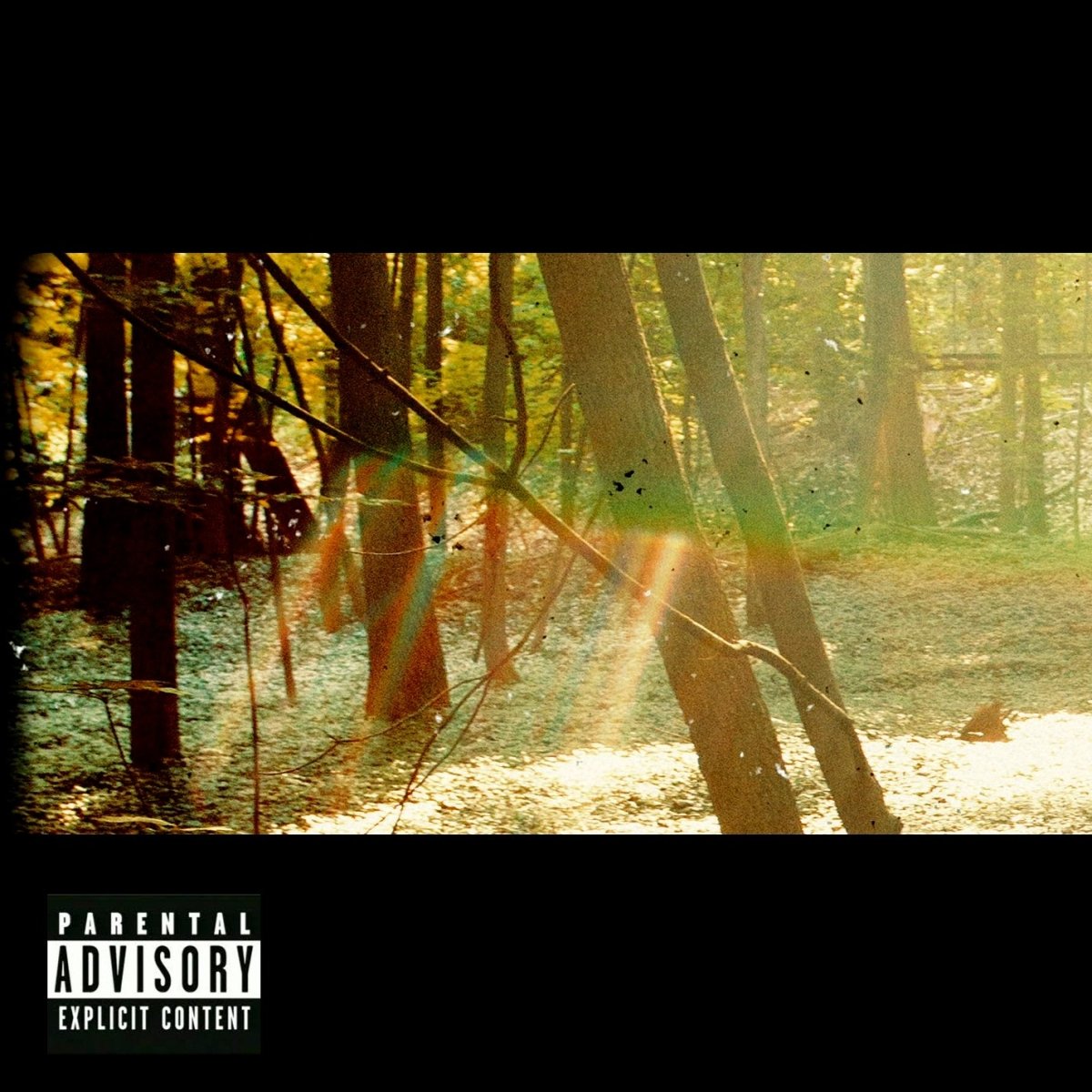 Childish Gambino - Camp [Used Vinyl] - Tonality Records