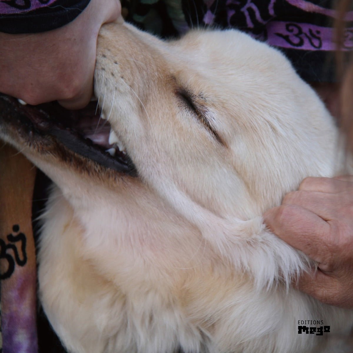 Christian Fennesz & Jim O'Rourke - It's Hard For Me To Say I’m Sorry [Used Vinyl] - Tonality Records