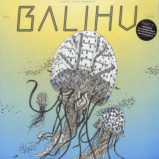 Daniel Wang - Presents the Best of Balihu 1993 - 2008 Pt. 2 [Used Vinyl] - Tonality Records