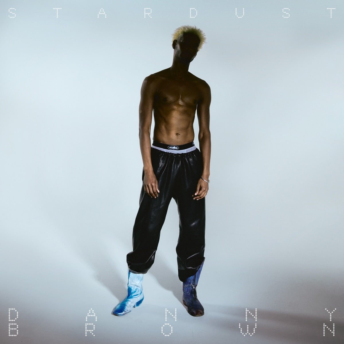 Danny Brown - Stardust [New Vinyl] - Tonality Records