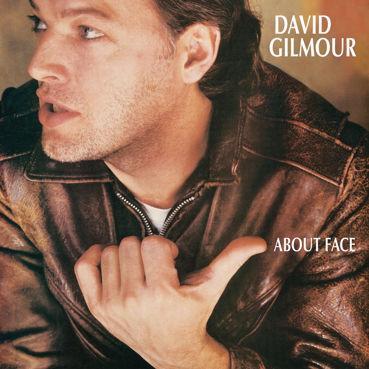 David Gilmour - About Face [Used Vinyl] - Tonality Records