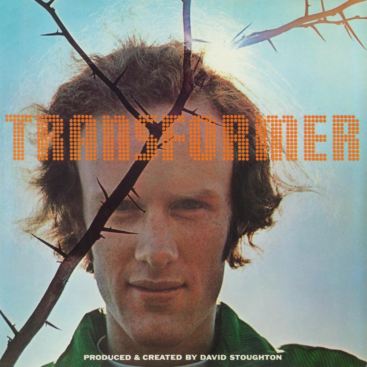 David Stoughton - Transformer [Used Vinyl] - Tonality Records