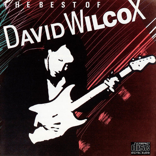 David Wilcox - The Best Of David Wilcox [Used Vinyl] - Tonality Records