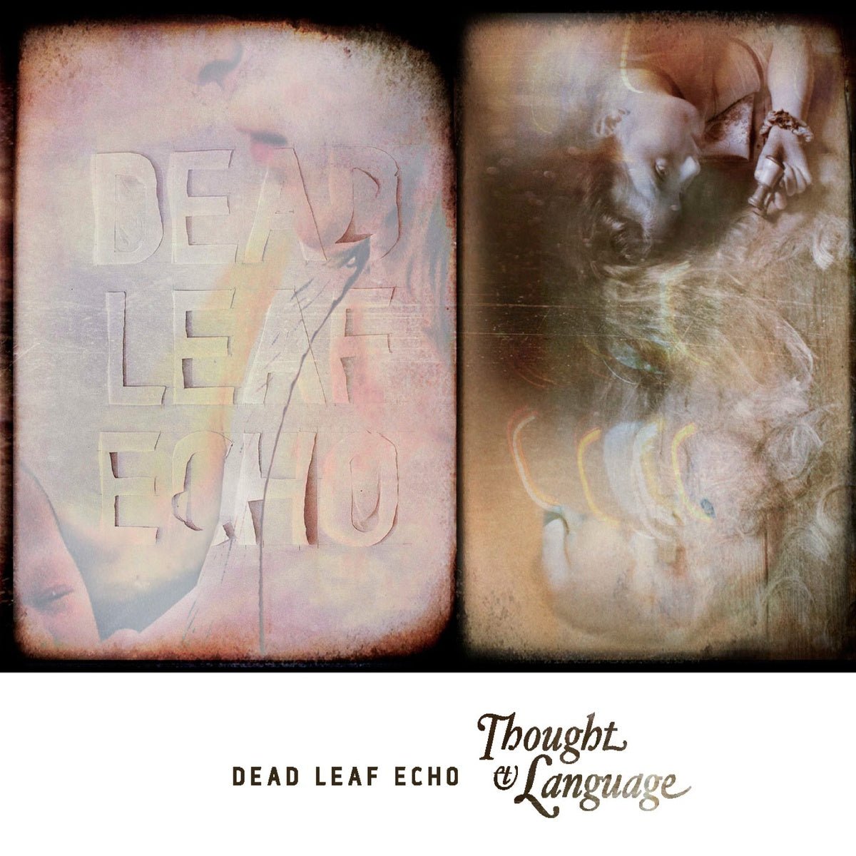 Dead Leaf Echo - Thought & Language [Used Vinyl] - Tonality Records