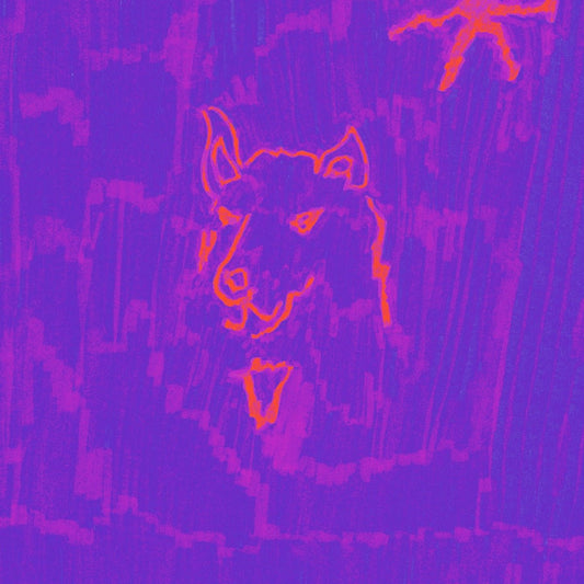 Dehd - Poetry [New Vinyl] - Tonality Records