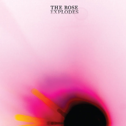 Dream Boat - The Rose Explodes [Used Vinyl] - Tonality Records