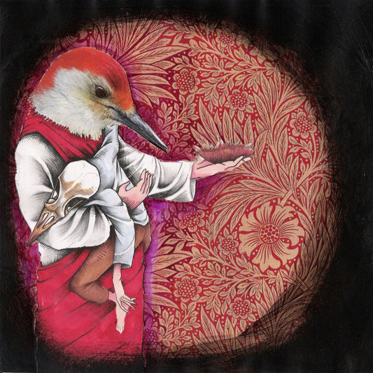 Dreamend - The Long Forgotten Friend [Used Vinyl] - Tonality Records